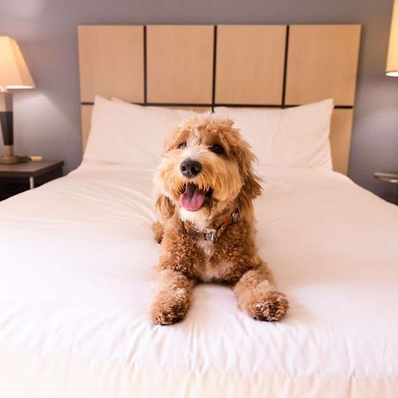 Sonesta Simply Suites Columbus Airport Gahanna Bagian luar foto